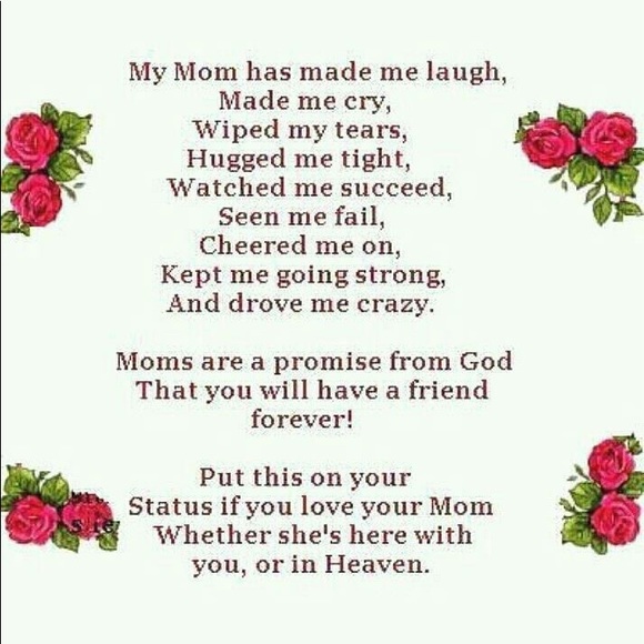 ClosetCleanOutPrices - Picture 9 of 9